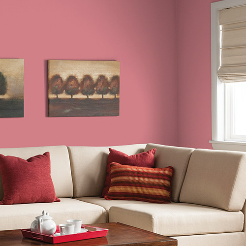 Small Living Room Ideas Passionate Pink