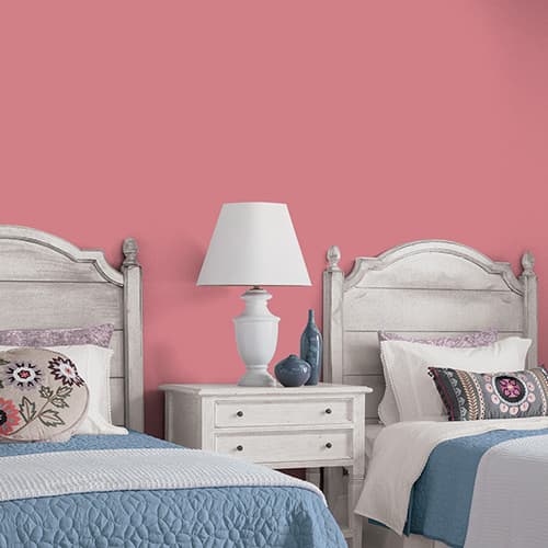 Warm & Inviting Paint Colors 