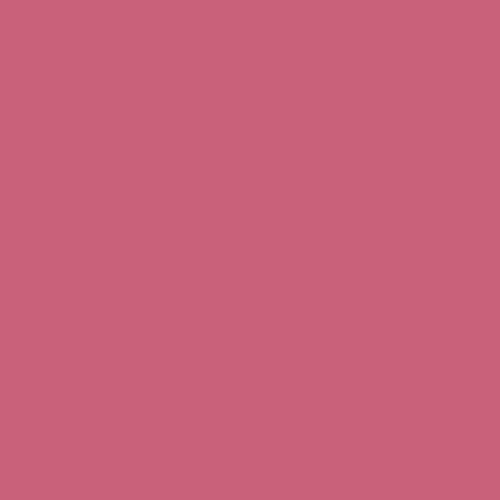 Cherry Pink PPG1183-6