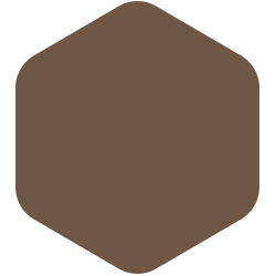 Chocolate Truffle  PPG15-13