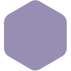 French Violet PPG1175-5