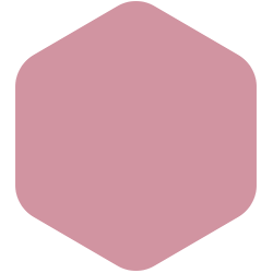 Madagascar Pink  PPG1050-4