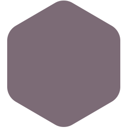 Purple Dusk  PPG13-19