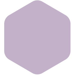 Purple Essence PPG1176-4