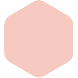 Rose Pink PPG1189-3