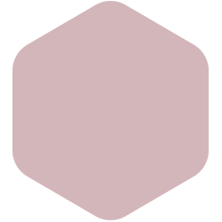 Rose Stain PPG1048-4