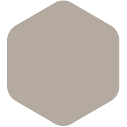 Shadow Taupe  PPG14-01