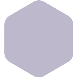 Wild Lilac 
PPG1175-4
